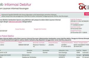 Sekarang BI Checking Sudah Bisa Dicek Sendiri Lewat Internet